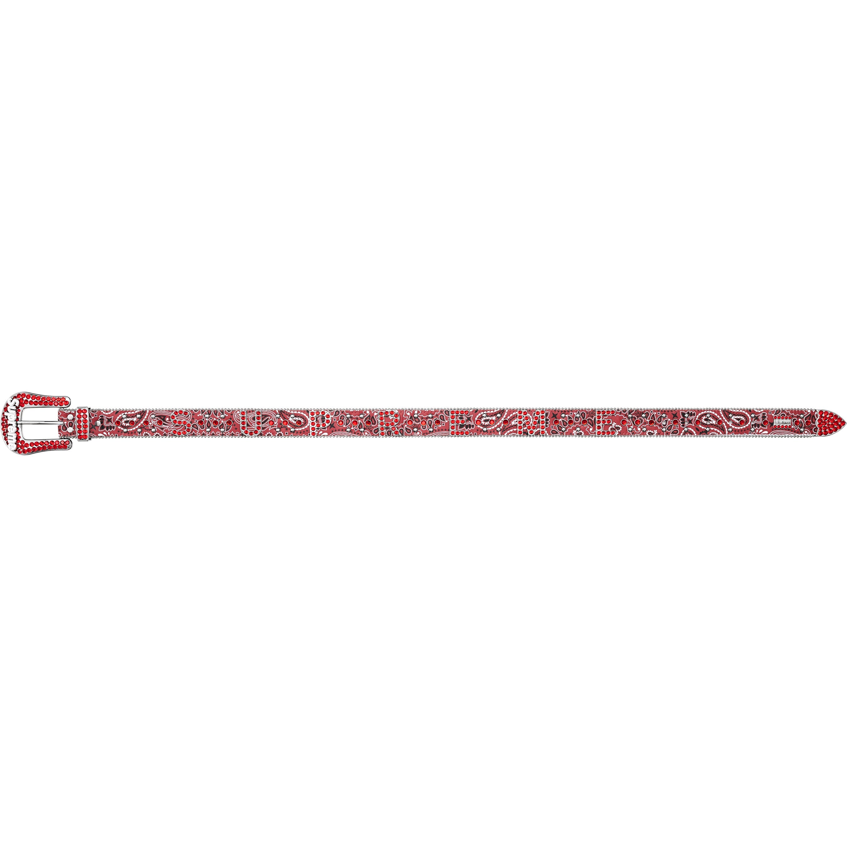 Supreme®/b.b. Simon® Bandana Belt view 19